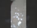 Di Sentebang Jawai Di Dalam Depan Rumah Banjir