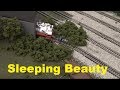 Sleeping Beauty