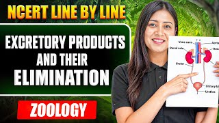 Excretory Products & Their Elimination FULL CHAPTER || NCERT Line by Line || Tulika Mam