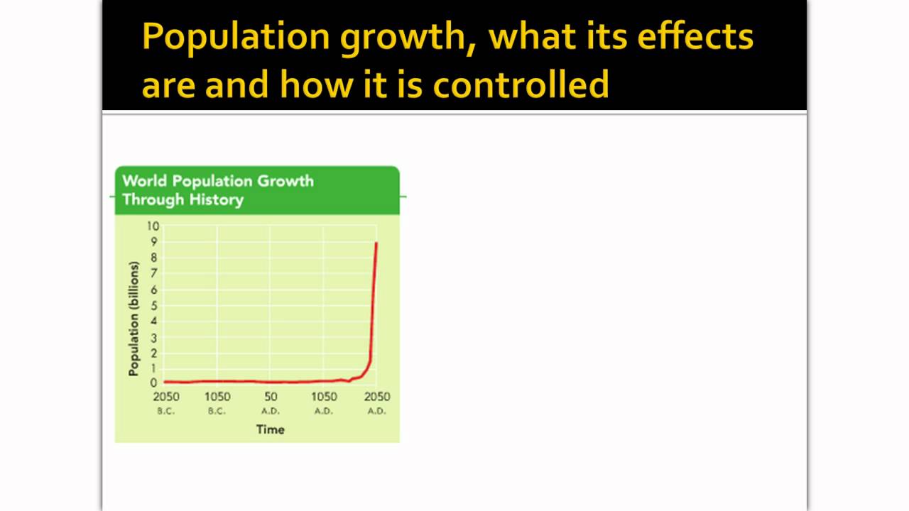 Chapter 8 Quiz 8th Grade