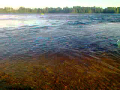 Lohi 14,5kg Oulujoki