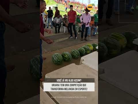 JÁ VIU UMA COMPETIÇÃO DESSAS? 😂🍉 #uruana #melancia #festa #turismo #curiosidades