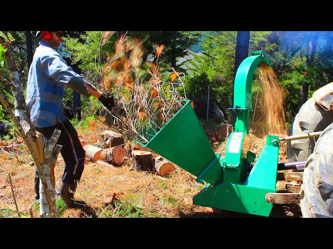 Buying a Cheap Tractor Powered pto Chipper to clean up branches and reduce fire risk.