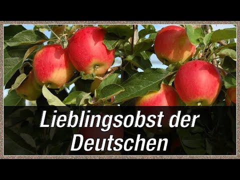 Der Apfel ist das Lieblingsobst der Deutschen ?