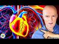 10 HEART ATTACK Signs MOST People Miss!