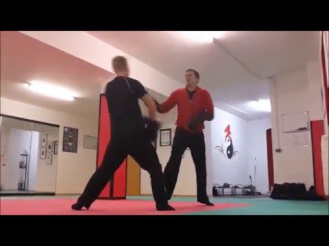 Leichtes Sparring & Anwendungsideen - Martial Arts Systematics - Kampfsport Regensburg