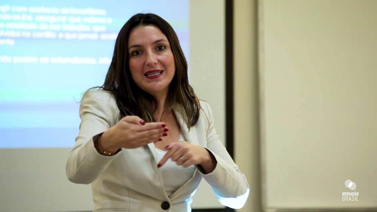 PRINCÍPIOS DA MEDIAÇÃO