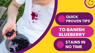 How To Get Blueberry Stains Out Of Clothing??Quick & Easy Methods