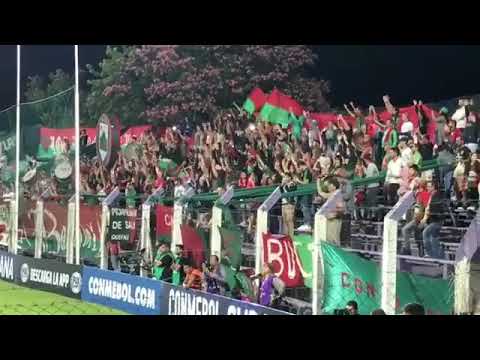 "Rampla Juniors Hinchada" Barra: La Banda del Camion &bull; Club: Rampla Juniors