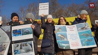 «Китовая тюрьма» в Приморье: за и против