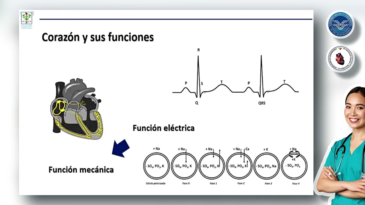Identificacion de arritmias letales