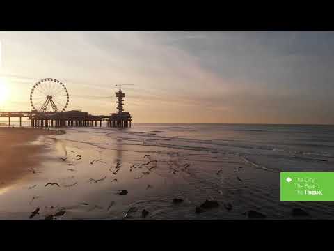 Entdecken Sie Den Haag, Stadt von M.C. Escher