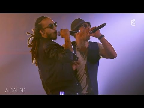 Alcaline, le Mag : Caribbean Dandee - L'Arène en live