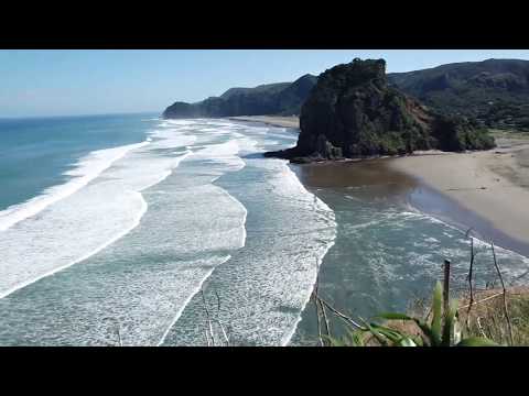 Surfing Piha Beach