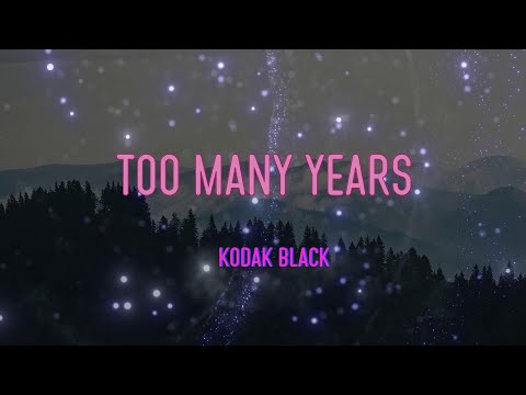 Kodak Black - Too Many Years Lyrics | And I Swear I Done Shed Too Many Tears