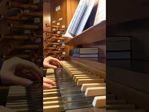 Meine engen Grenzen #shorts