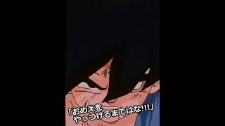 もしもLR4コンビに交代復活スキルがあったら