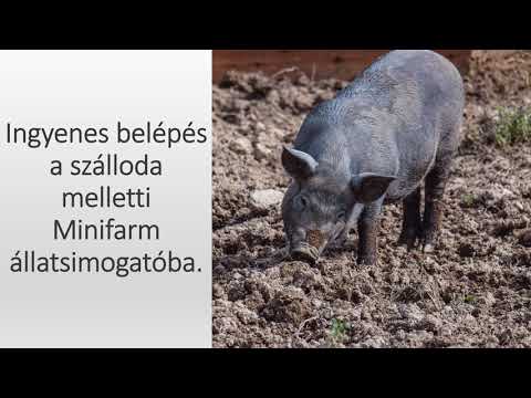 Vár a Magas Tátra! 3 éjszaka 2 fő részére a Tatragolf Mountain Resortban!