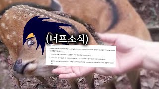 듀블 너프가 어느정도인지 계산해봤습니다