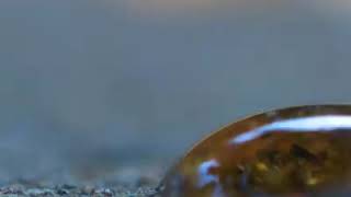 Download lagu Analogi Semut dan Gula mp3