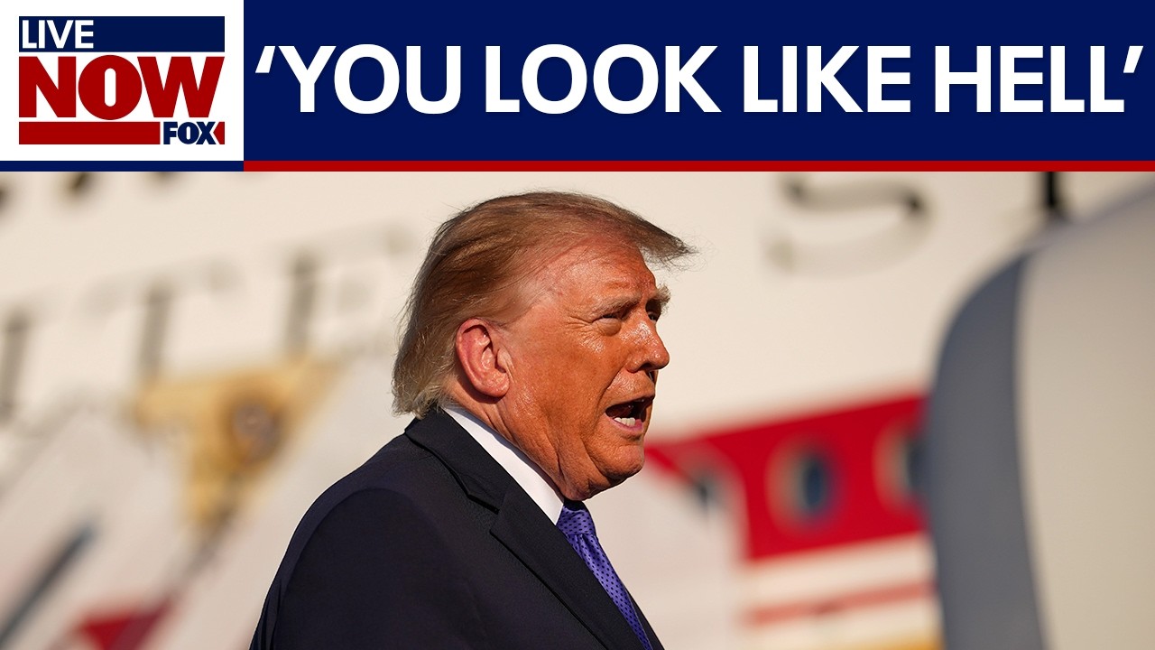 WATCH: Trump slams reporter over question about canceled campaign rally