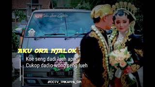 Download lagu Pengantin baru STORY WA mp3