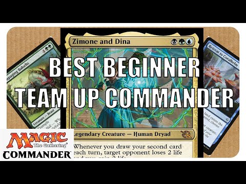 Budget cards you NEED to pick up for Zimone and Dina! $100 Budget Build | MTG Commander