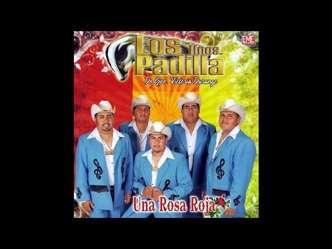 Los Hermanos Padilla - Los 500 Novillos Corazones