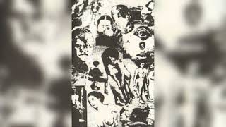 cephalic carnage (us) - 1996 - fortuitous oddity (demo, death buds) #death #grind #technical