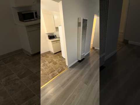 David 3047 - Video 2 of 2