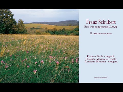 Schubert: Esz-dúr zongoratrió D.929,  (1827)  II. tétel, Andante con moto