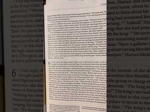 Esther (Ester) 6 | Tanakh/Old Testament | Audio Bible | CJB | Complete Jewish Bible