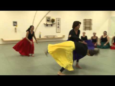 Aikido - Women in Skirts Music Video