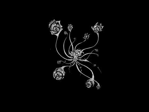 Acidpach - Ohrus [Tekno]