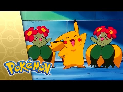 Flower Power! | POKÉMON FULL EPISODE 6 | Season 3
