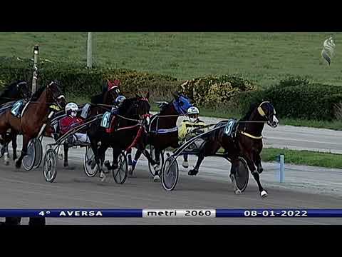 Aversa trotto 8 Gennaio 2022 - 4° Corsa