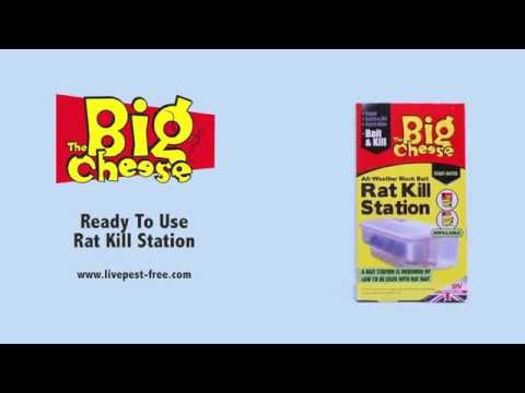 Rat Kill Station (STV133) from The Big Cheese
