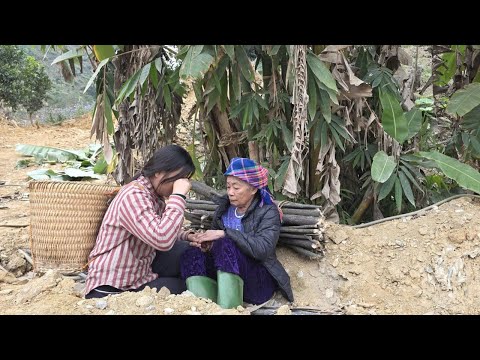 The Infertile Woman Who Saved an Elderly Stranger — What She Learned Left Her in Tears