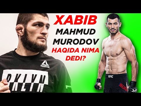 ХАБИБ МАХМУД МУРАДОВ га ВАЗН ТАШЛАШНИ ТАВСИЯ ҚИЛДИ | Makhmud Muradov UFC