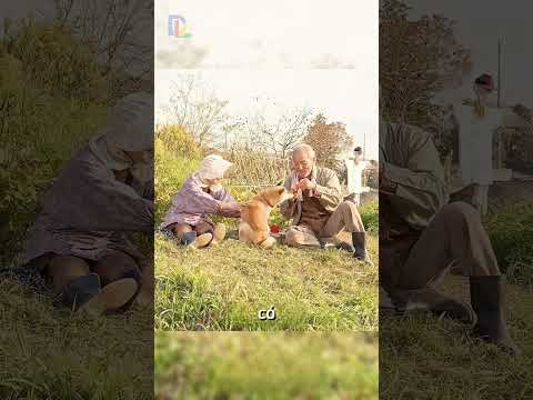 chú chó mẹ bảo vệ con ngay lập tức bị bắt lại