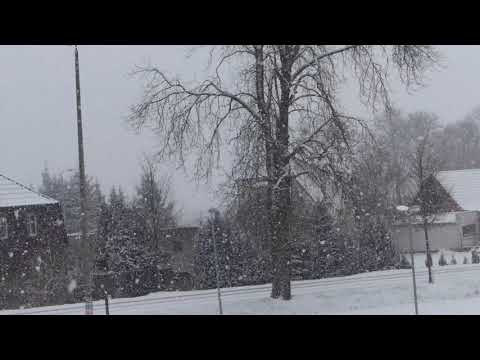 Leise rieselt der Schnee über Ferdinandshof