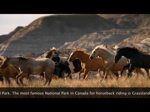 Top 10 Things To Do in a National Park