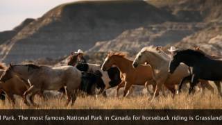 Top 10 Things To Do in a National Park