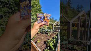 Destined Rivals Hit by the garden! 🥦🥒 #pokemon #packopenning #destinedrivals