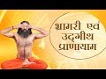 Bhramari Udgeeth Pranayama Swami Ramdev