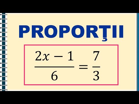 Proportions | Matera.ro