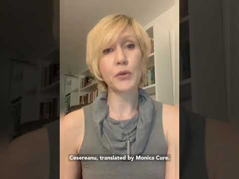 International Poetry Circle: a poem by Ruxandra Cesereanu