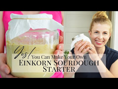 Einkorn-Sauerteigstarter von Grund auf selbst herstellen | Sauerteigstarter auf Einkorn umstellen