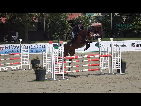 Tyson SH v. Toulon - Mylord Carthago, OS Hengst, gekört  * 2018