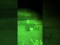 Crazy sighting with night vision goggles ￼